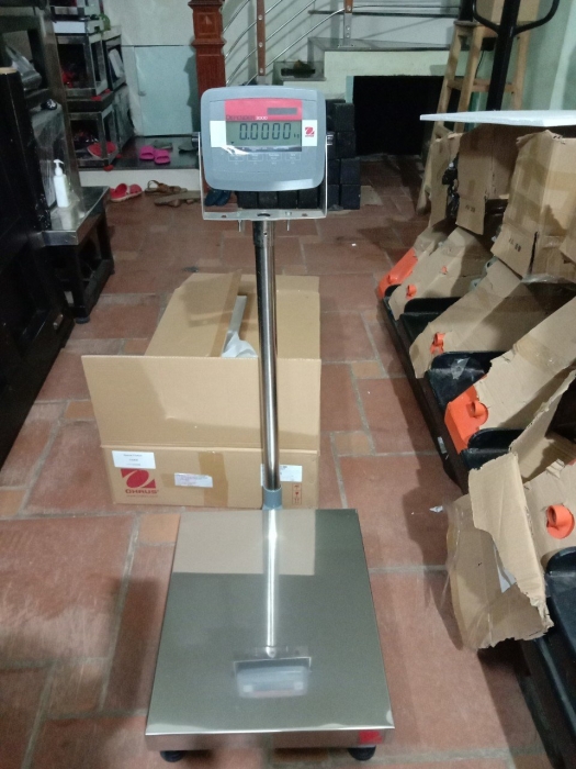 Cân điện tử D31P60BL Ohaus USA